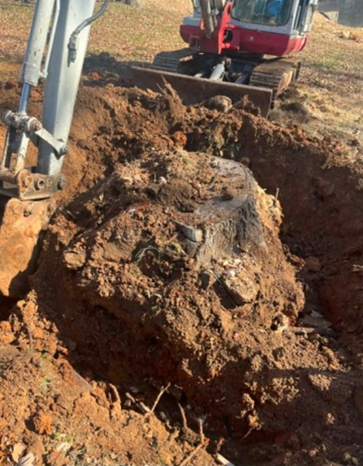Excavator bucket digging out a large tree stump and root ball